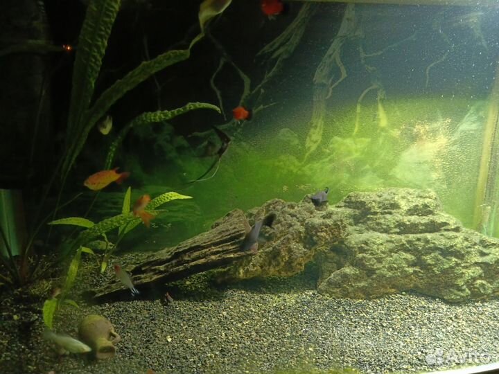 Аквариум с тумбой jebo