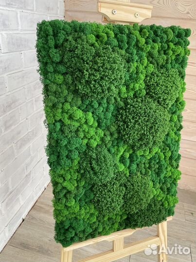 Панели из стабилизированного мха