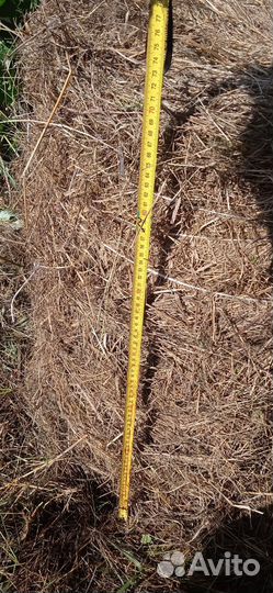 Сено в мини рулонах