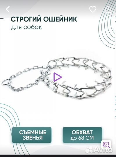 Ошейник для собак