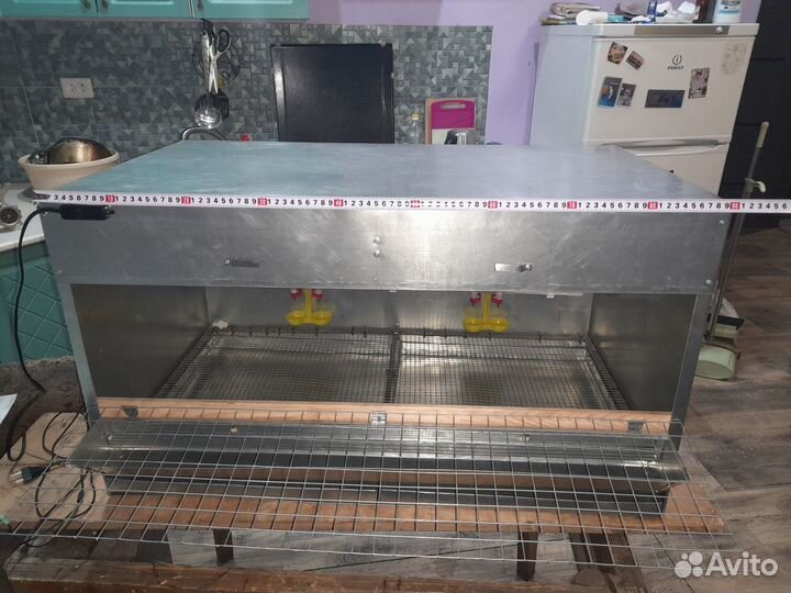 Брудер для цыплят