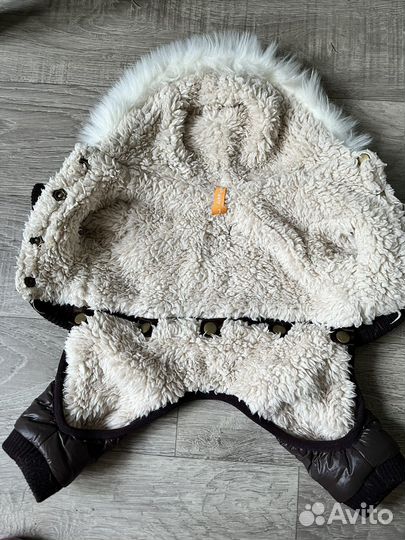 Одежда для собак. Зима