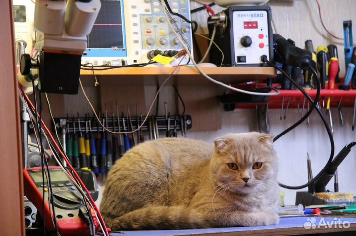 Ремонт ноутбуков