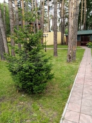 Коттедж 284 м² на участке 15 сот.