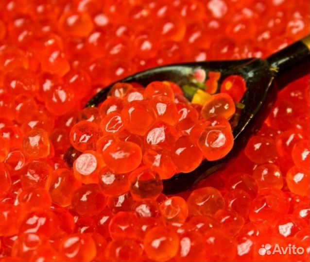 Красная икра 2023