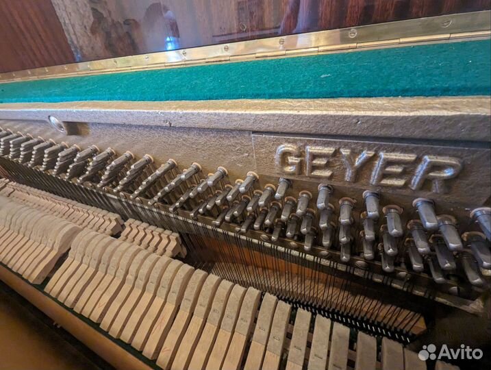 Geyer