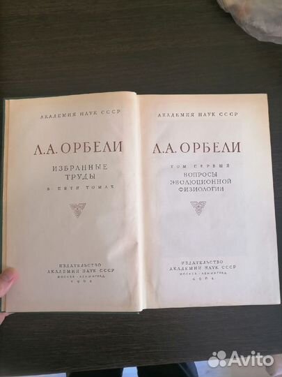 Л. А. Орбели 