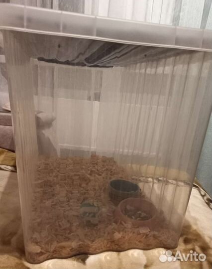 Переноска, террариум, контейнер для животных