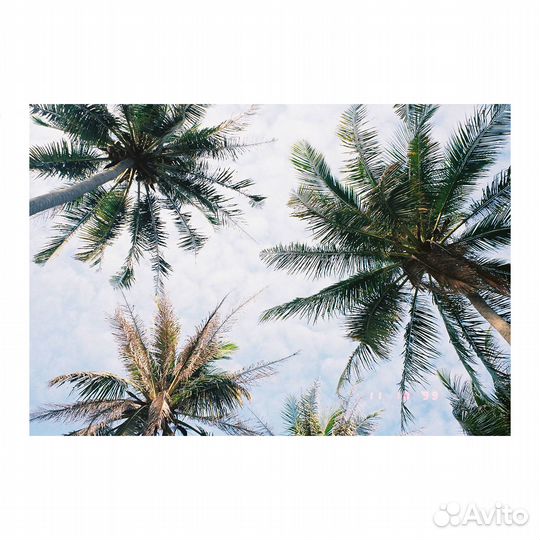 Плёночный фотоаппарат Olympus mju ll Zoom 115