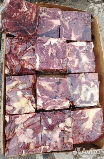 Мясо говядина