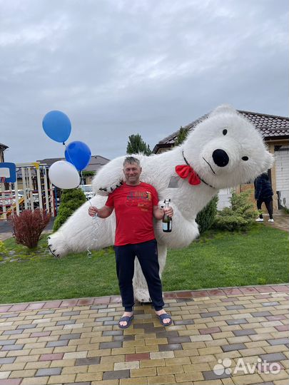 Большой белый мишка / день рождения / аниматор