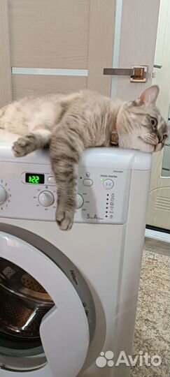 Indesit 5 kg Доставка и установка