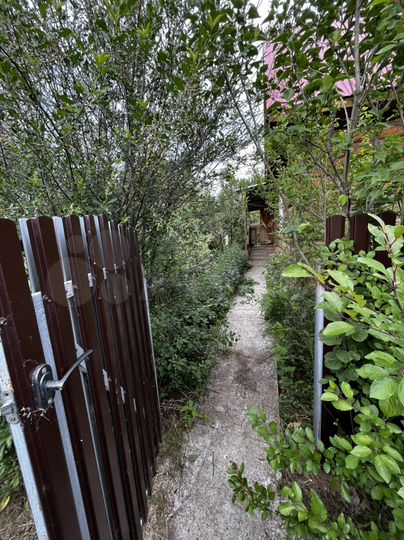 Дом 46 м² на участке 12,5 сот.