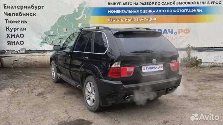 Уплотнитель стекла двери заднего левого BMW X5 (E5