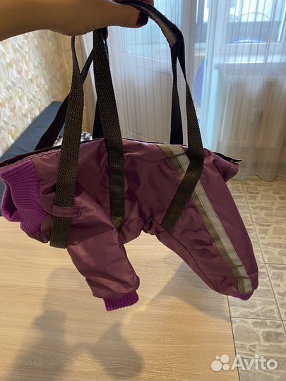 Комбинезон для маленькой собаки