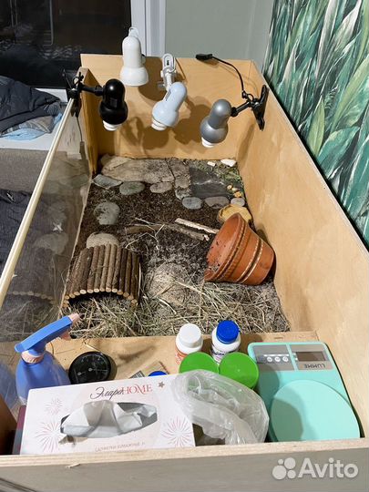 Черепаха сухопутная с террариумом