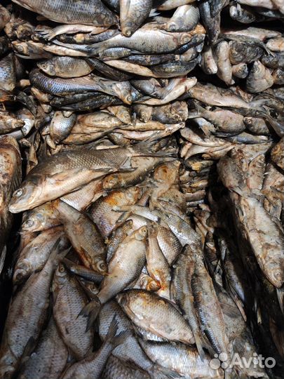 На корм животным