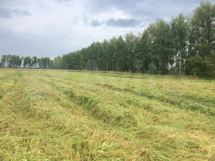 Участок 2,6 га (СНТ, ДНП)