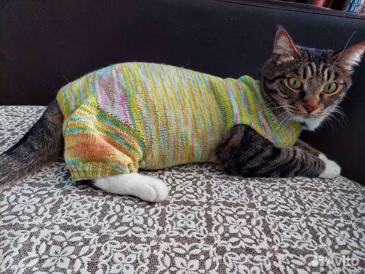 Комбинезон для кота