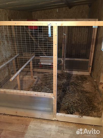 Строительство птичников и вольеров для птиц