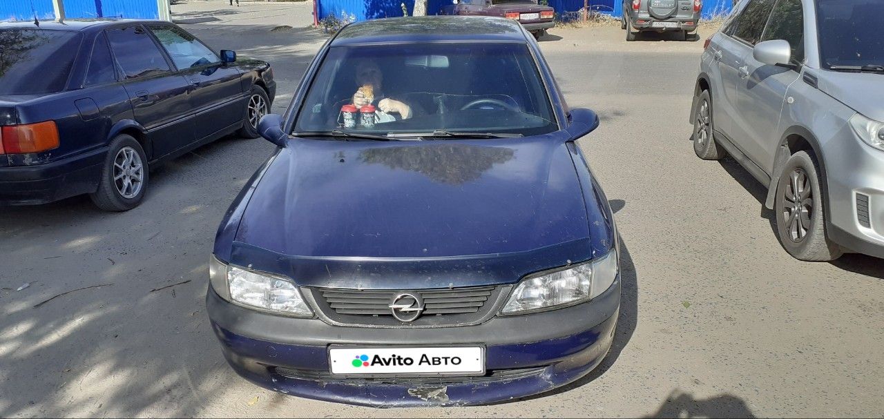 Opel Vectra: фото из отзыва
