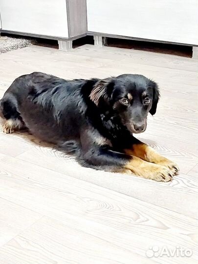 Марго в заботливые ручки