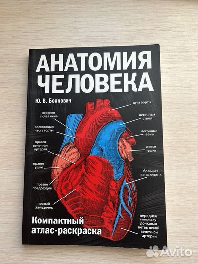 Анатомия атлас раскраска