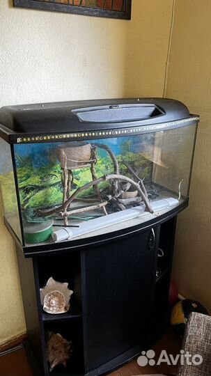 Аквариум с тумбой