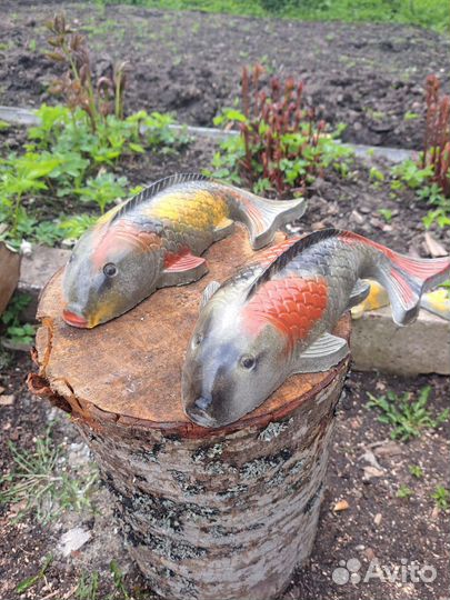 Рыбка талисман Кои