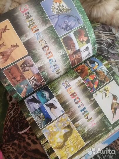 Энциклопедия животных