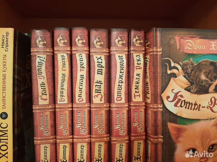 Коты-воители