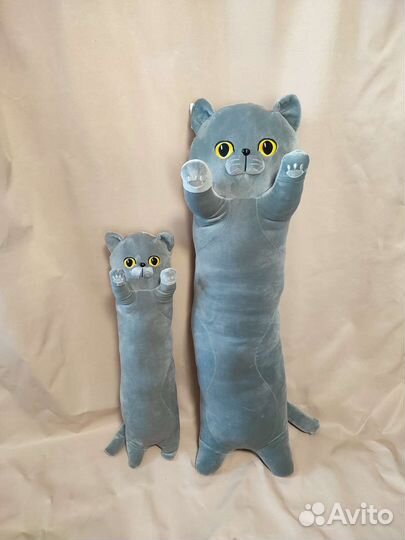 Коты обнимашки Британцы, новые