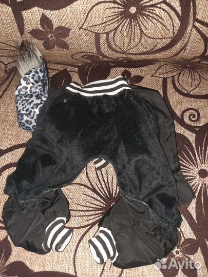 Одежда для собак