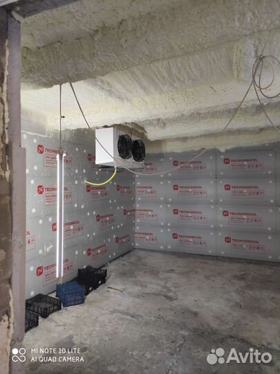 Производство шампиньонов