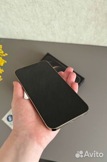 iPhone 12 Pro Max, 128 ГБ