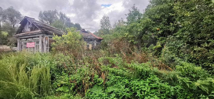 Дом 43 м² на участке 23 сот.