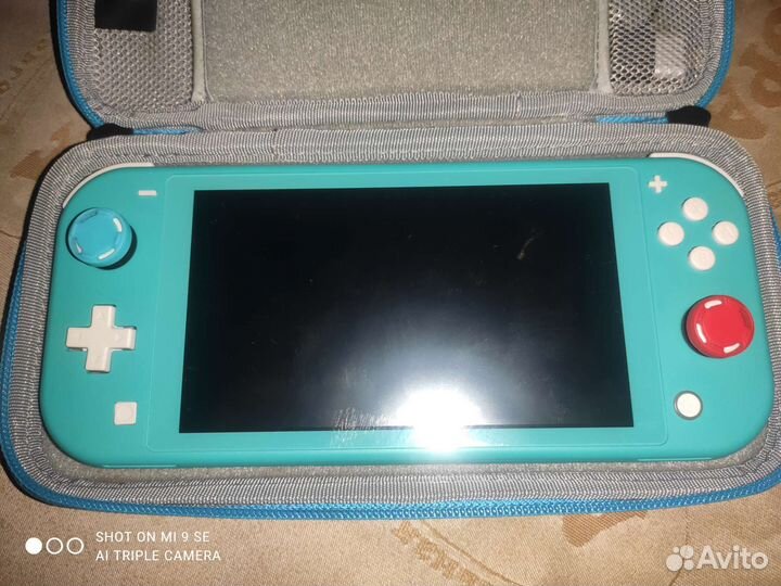 Nintendo switch lite