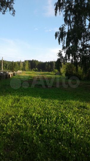 Участок 11,4 сот. (СНТ, ДНП)