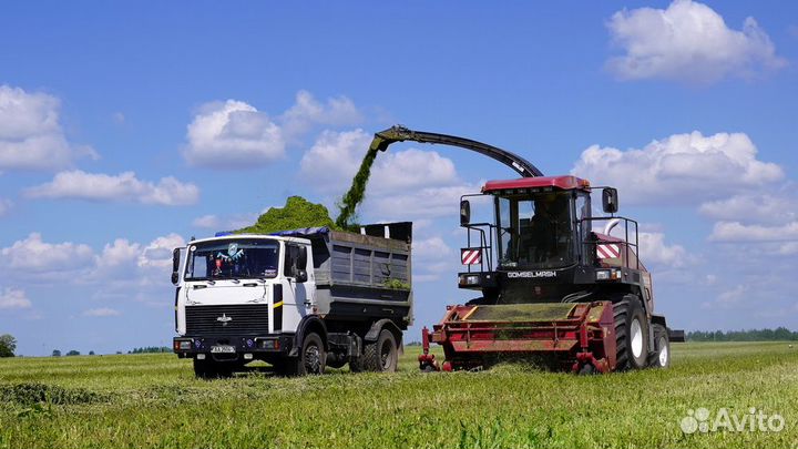 Комбайн Гомсельмаш FS80 PRO, 2023