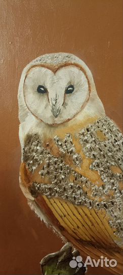 Картина маслом Сова