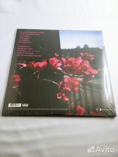 George Ezra - Staying AT Tamara's (LP)