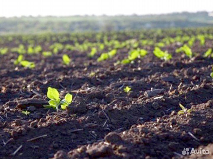 Чернозем плодородный с доставкой. арт:А - 92*4