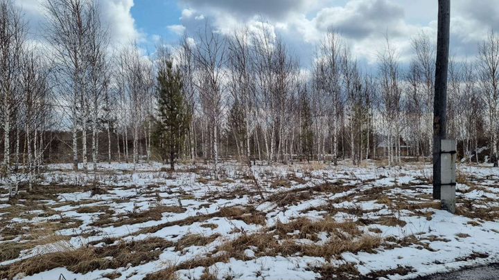 Участок 15 сот. (СНТ, ДНП)