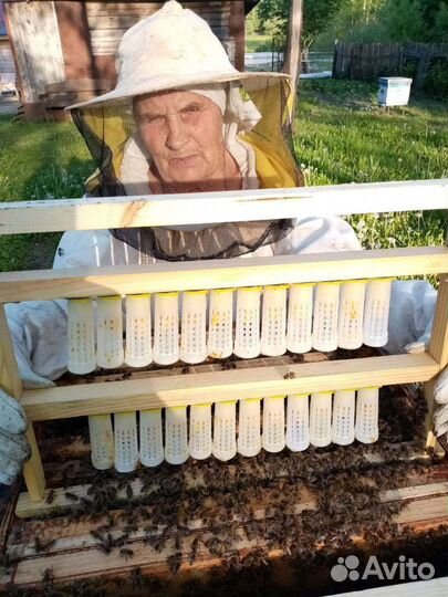 Пчелопакеты Carnica Troiseck