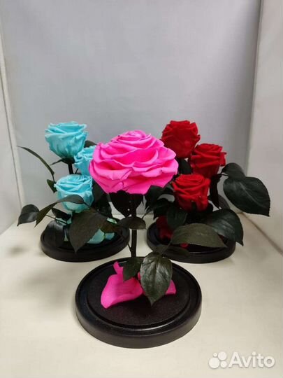 Цветы оптом