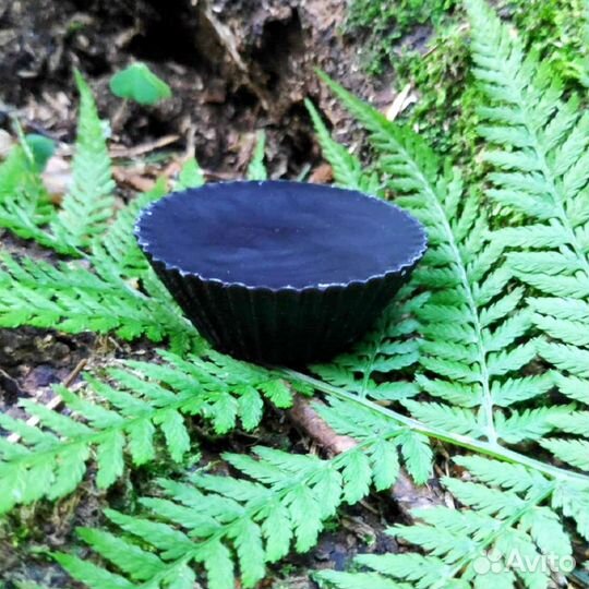 Воск натуральный