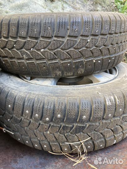 Tigar Sigura Stud 185/60 R14