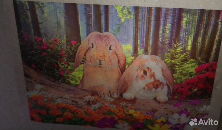 Кролики новая 3d-картина 39,5 х 29,5 см