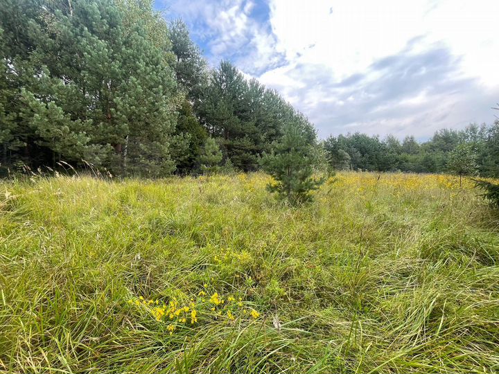 Участок 18,7 сот. (ИЖС)