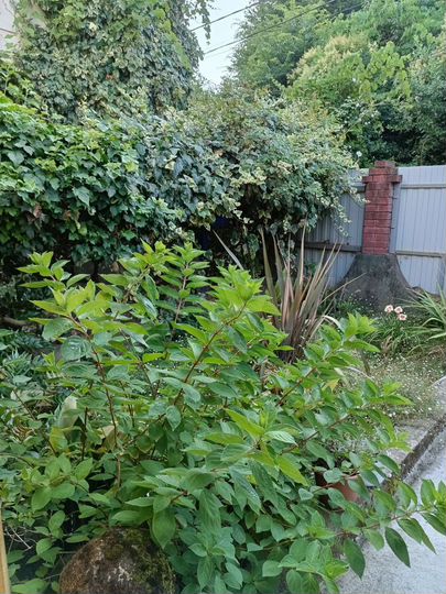 Дом 60 м² на участке 3 сот.